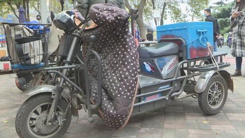 重磅 未來(lái)三年限行規(guī)定大變化 石家莊道路通行新規(guī)則出臺(tái) 附變化解讀