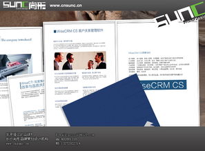 打造卓越軟件產品彩頁與封套 設計策略與開發要點的完美融合